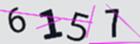 驗證碼