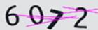 驗證碼