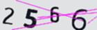 驗證碼
