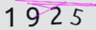 驗證碼