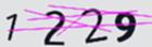 驗證碼