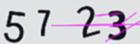 驗證碼