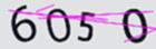 驗證碼