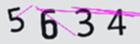 驗證碼