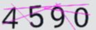 驗證碼