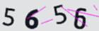 驗證碼