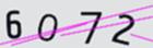 驗證碼