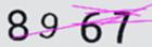 驗證碼