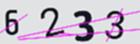 驗證碼